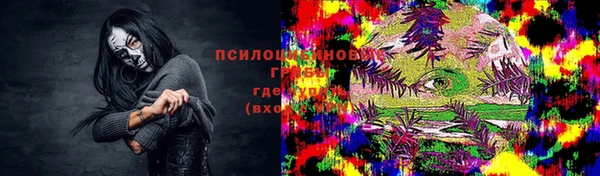 кокс Богородицк